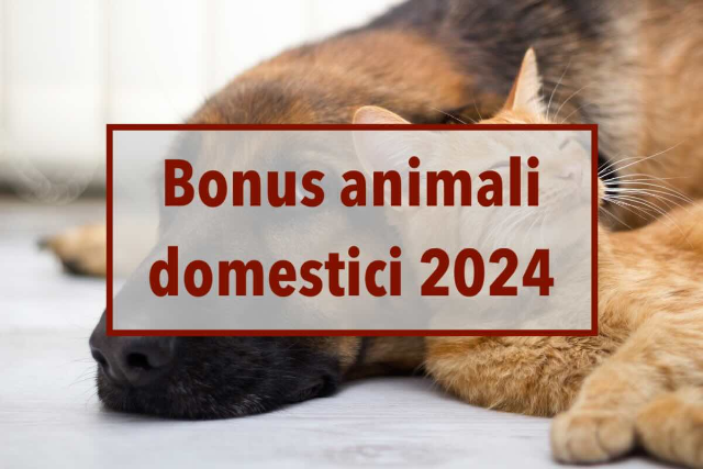 Bando  per la concessione di contributi a sostegno delle spese per gli animali di affezione - spese sostenute nell'anno 2023